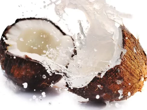 Du lait ou de la crème de noix de coco pour cuisiner sans lait de vache