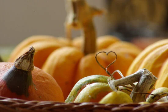 la reine des courges