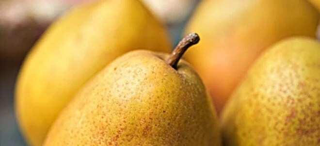 recette gâteau aux poires sans lait