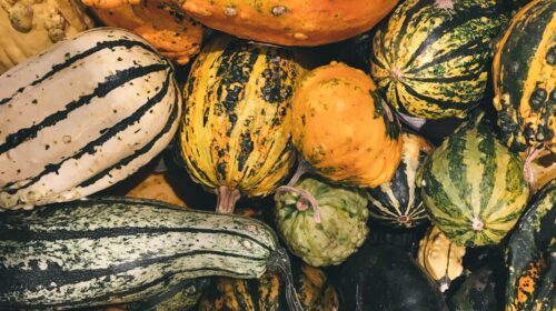 Courges et giraumons