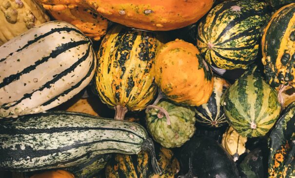 Courges et giraumons