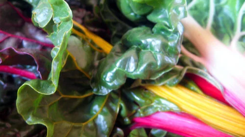 Tarte sans lait et sans lactose aux blettes et pignons de pin