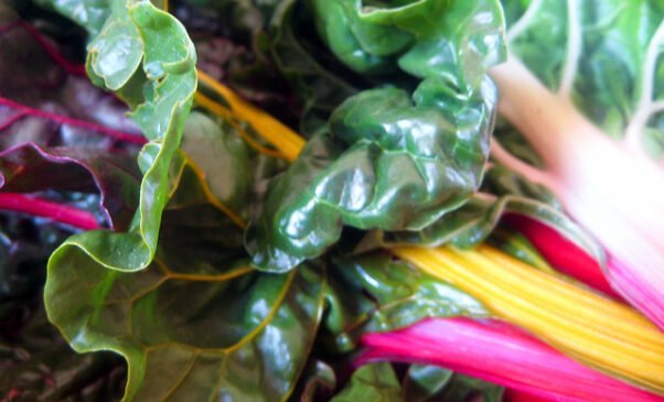 Tarte sans lait et sans lactose aux blettes et pignons de pin